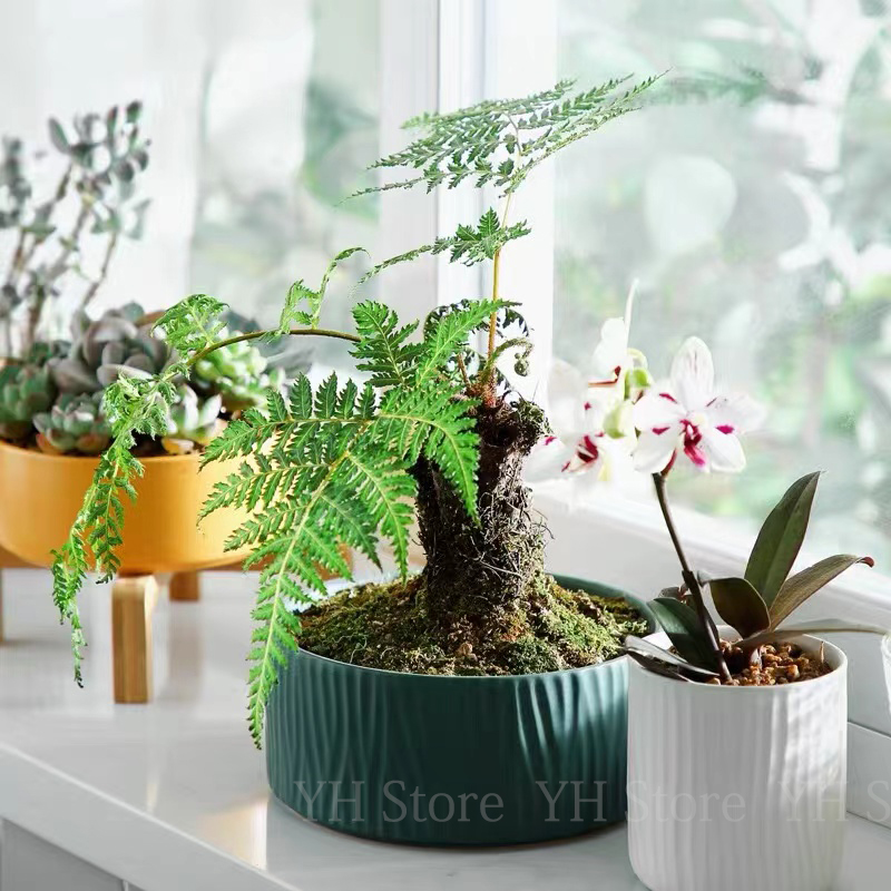 Terrazzo Pot Cement - Versatile Silicone Mold for DIY Crafts