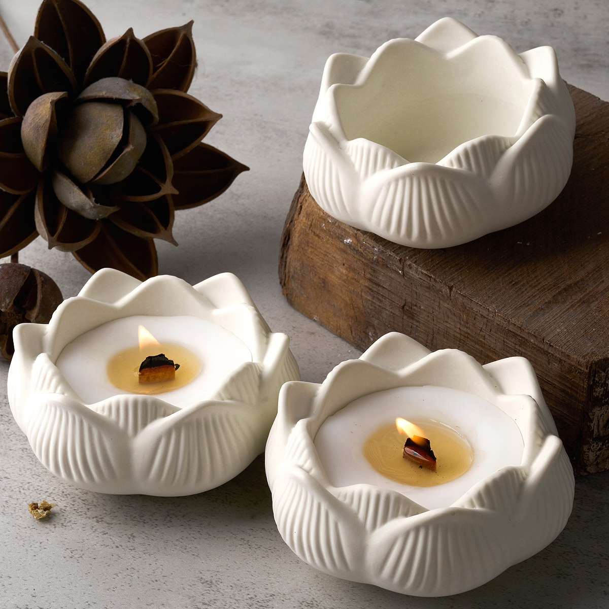Lotus Shape Candle Holder Plas - Terrazzo Pot Cement recensione e prezzo
