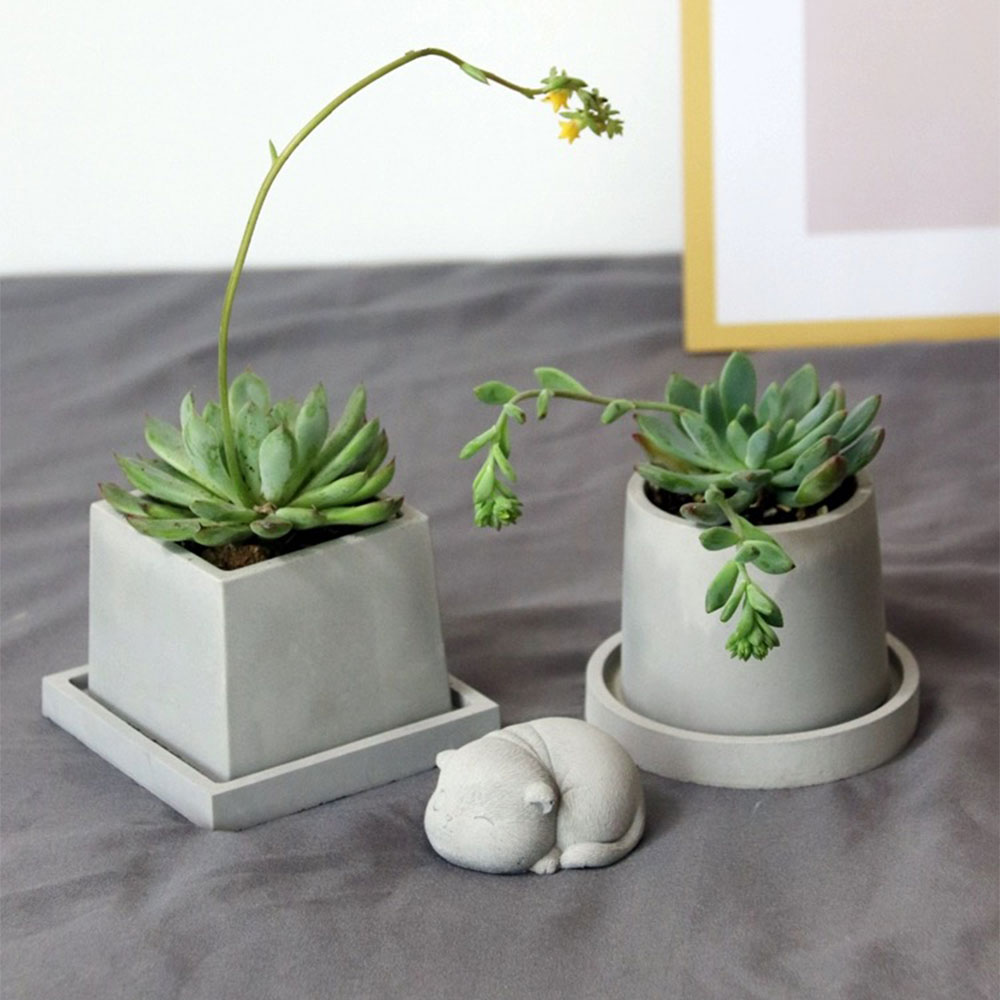 Cement Plant Pot Concrete Mold - Terrazzo Pot Cement recensione e prezzo