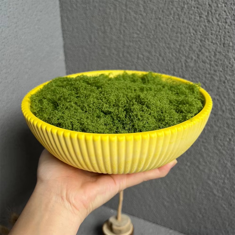 A Top Quality Large Striped Bo - Terrazzo Pot Cement recensione e prezzo